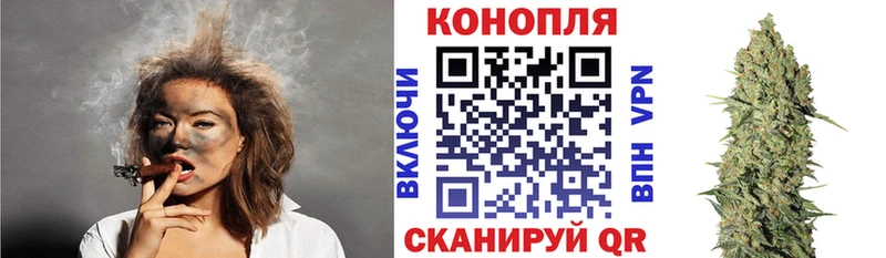 Где найти наркотики Новодвинск A-PVP  Гашиш 