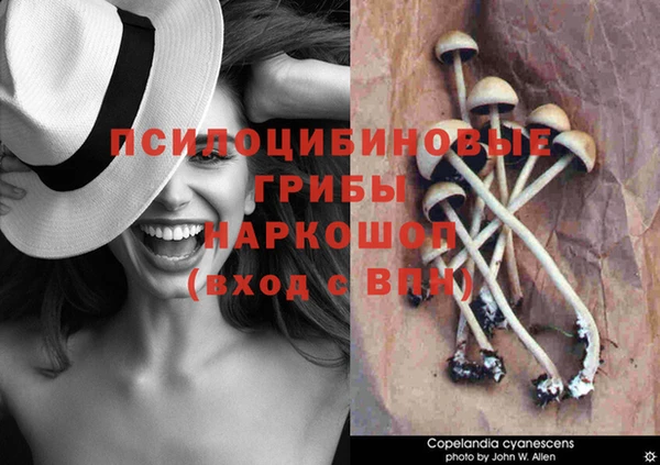 гидропоника Армянск