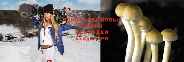 стафф Алзамай