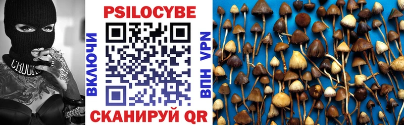 продажа наркотиков  Новодвинск  shop Telegram  Псилоцибиновые грибы GOLDEN TEACHER 