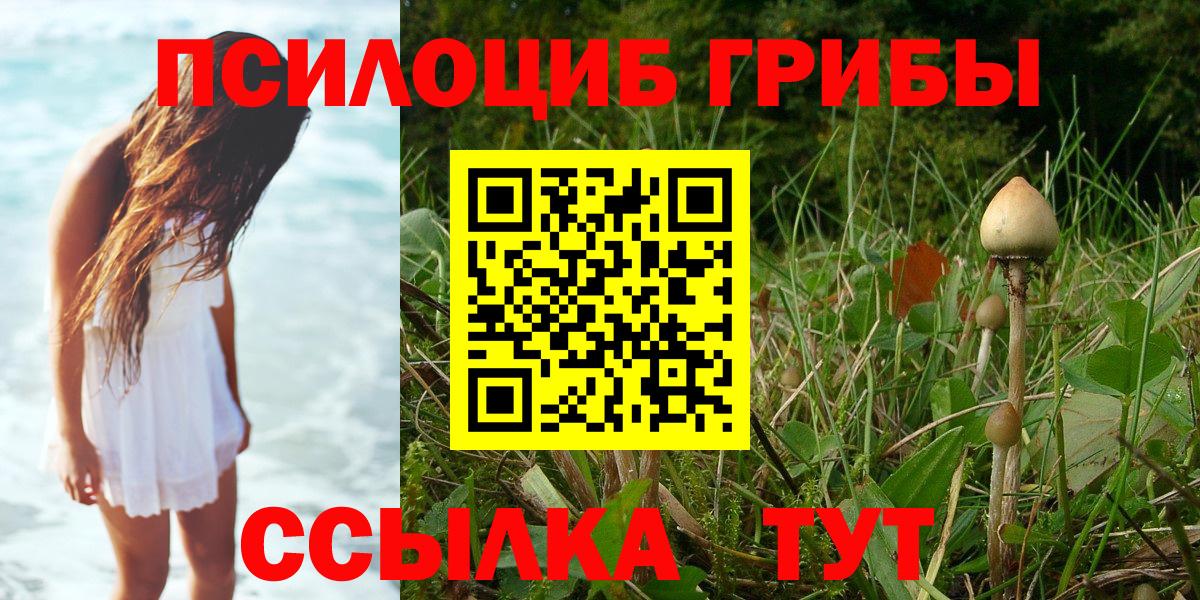 Галлюциногенные грибы GOLDEN TEACHER  Вход с VPN  наркота  Новодвинск 