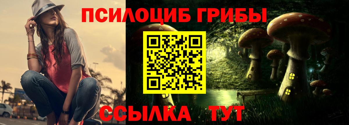 Галлюциногенные грибы Psilocybine cubensis Новодвинск