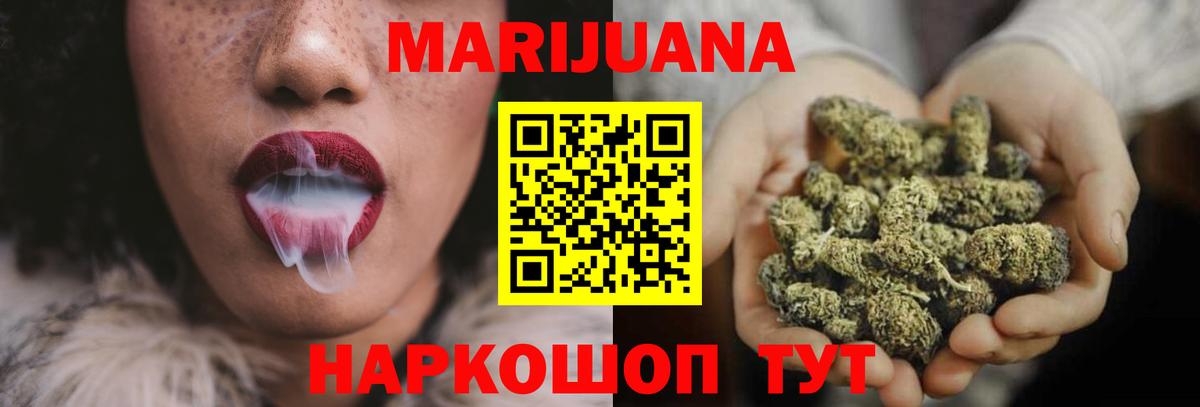 Конопля гибрид Новодвинск